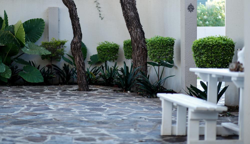 The Hedge Guesthouse Куруман Екстериор снимка